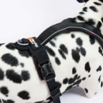 Non-Stop Dogwear Line Harness 5.0 | OUTLET